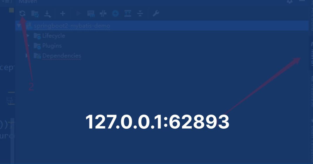 127.0.0.1_62893