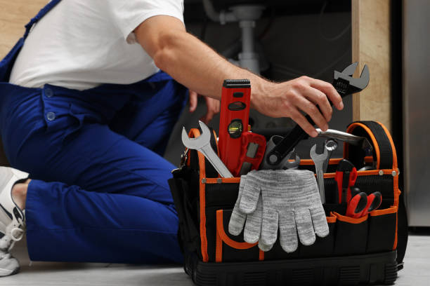 Tampa handyman