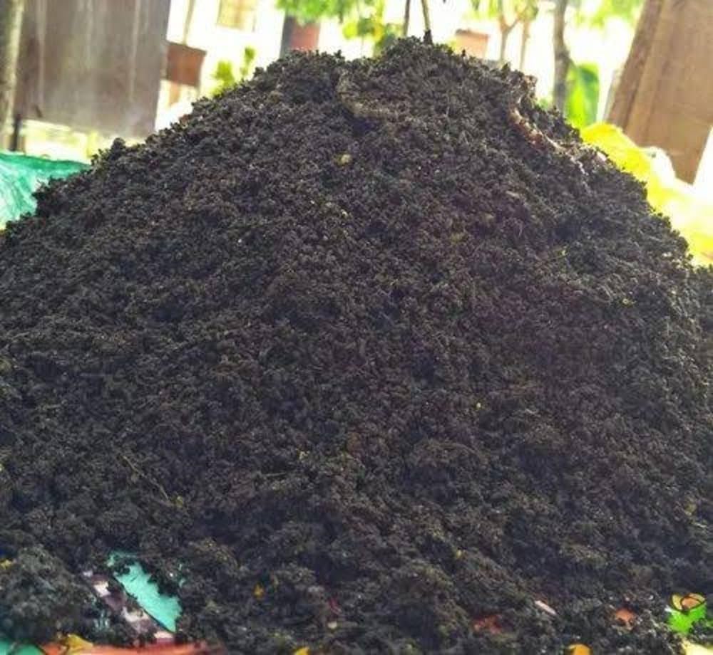 What Makes Nutrient Rich Topsoil in Soil for Sale Ideal for Flower Beds