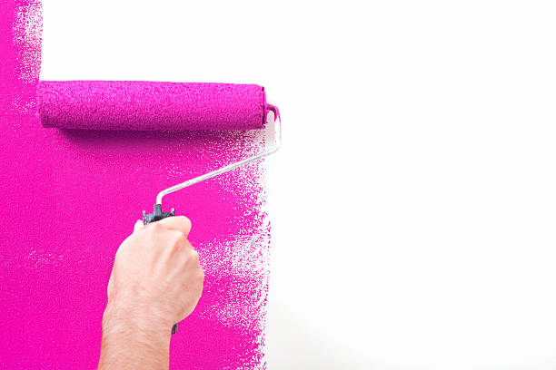 Want Professional Home Painting Services for a Fresh New Look?