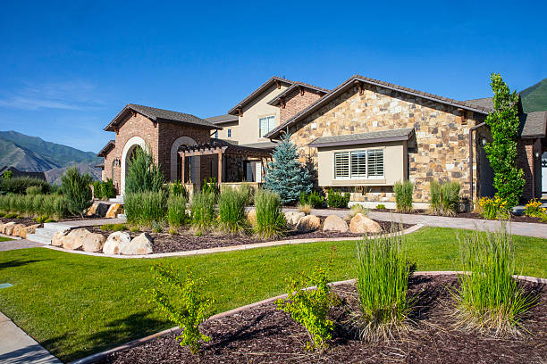 Knowing When to Hire a Landscaper Near Me for Yard Restoration